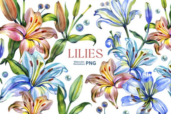 Download Watercolor Lilies Png - Lilies Collection