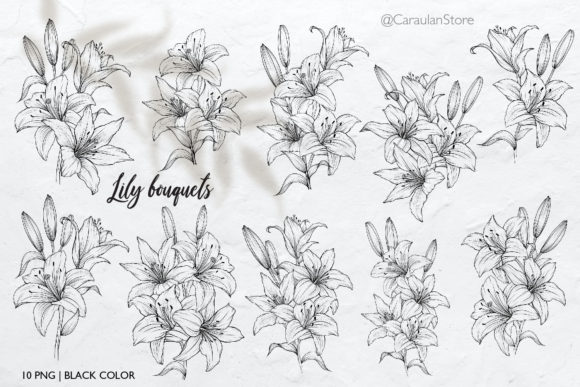 Download Lilies Line Art, Lily Bouquets PNG - Lilies Collection