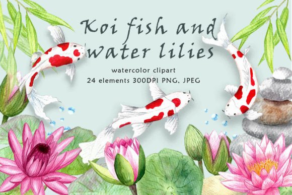 Download Clipart. Koi Fish and Water Lilies. - Lilies Collection