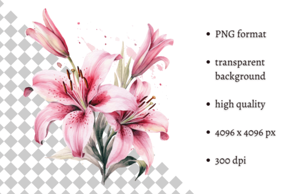 Download Watercolor Pink Tiger Lilies Clipart - Premium Bundle